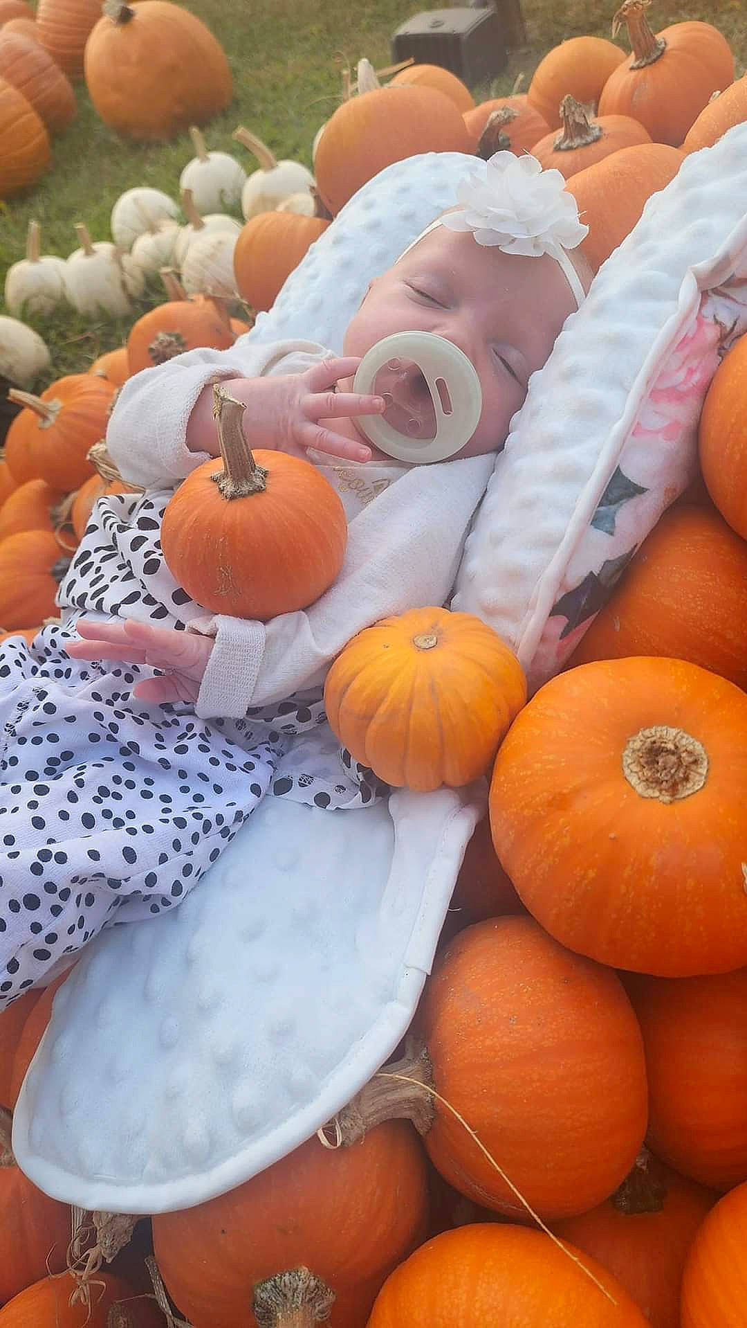 Kinzley joined the competition — help win amazing prizes! calabaza, cucurbita, food, food_group, gourd, ingredient, local_food, natural_foods, orange, person, plant, produce, pumpkin, recipe, squash, staple_food, superfood, vegan_nutrition, vegetable, whole_food