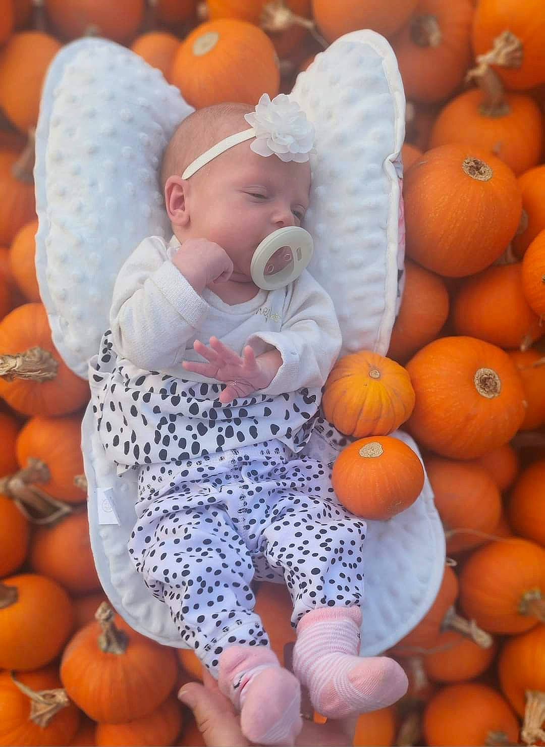 Kinzley is registered to the contest to win money with this photo: baby, baby_toddler_clothing, calabaza, comfort, facial_expression, gourd, local_food, natural_foods, orange, people, people_in_nature, person, photograph, plant, pumpkin, squash, thigh, toddler, whole_food, winter_squash