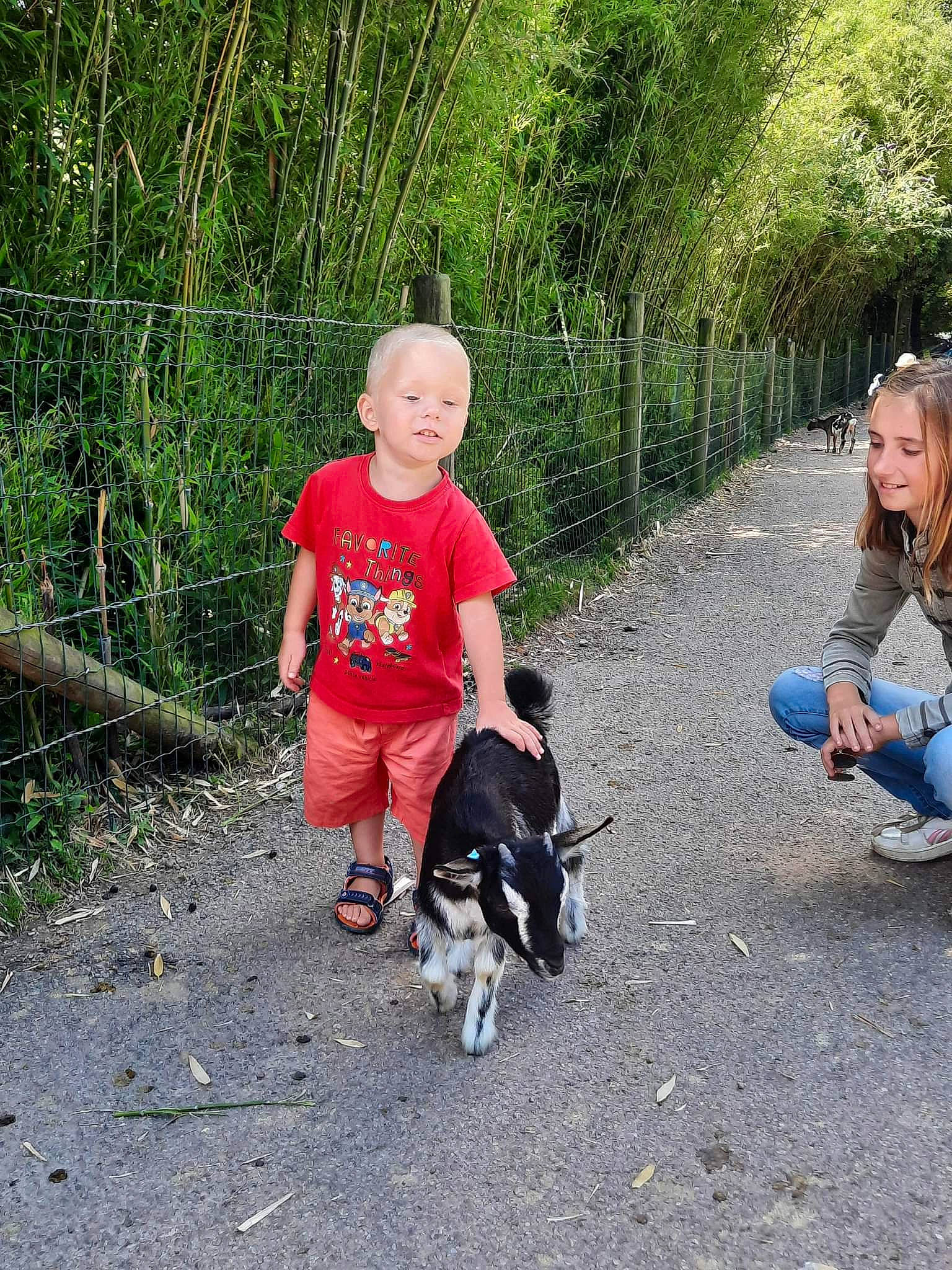 Caïs a rejoint le concours — aidez-le/la à gagner de superbes lots ! adventure, asphalt, child, grass, jeans, joy, leaf, leg, leisure, people_in_nature, person, plant, recreation, shoe, shorts, sidewalk, sneakers, soil, toddler, trail