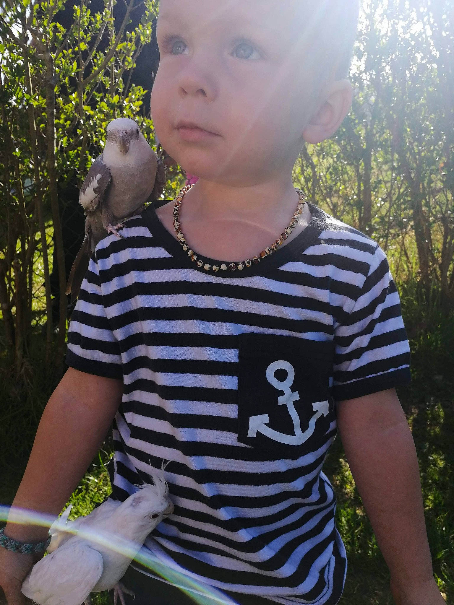 Caïs a rejoint le concours — aidez-le/la à gagner de superbes lots ! baby_toddler_clothing, cool, eyewear, facial_expression, fun, grass, hairstyle, happy, light, neck, people_in_nature, person, photograph, sleeve, standing, summer, sunlight, t_shirt, toddler, tree