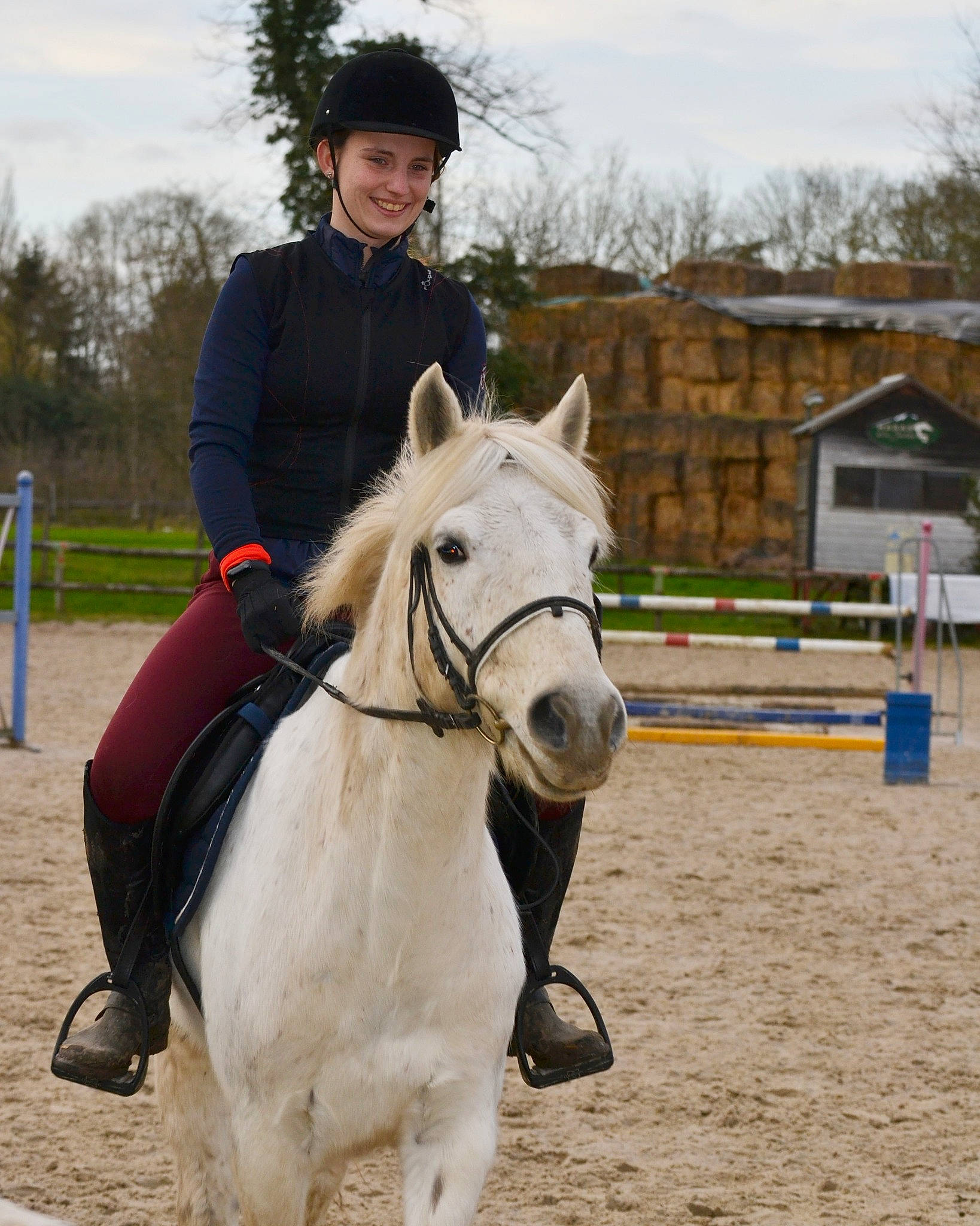 Ulysse participe au concours pour gagner de l'argent avec cette photo : animal_sports, bridle, english_riding, equestrian, equestrian_helmet, equestrianism, equitation, halter, horse, horse_supplies, horse_tack, hunt_seat, mammal, mane, outdoor_recreation, recreation, rein, saddle, stallion, vertebrate