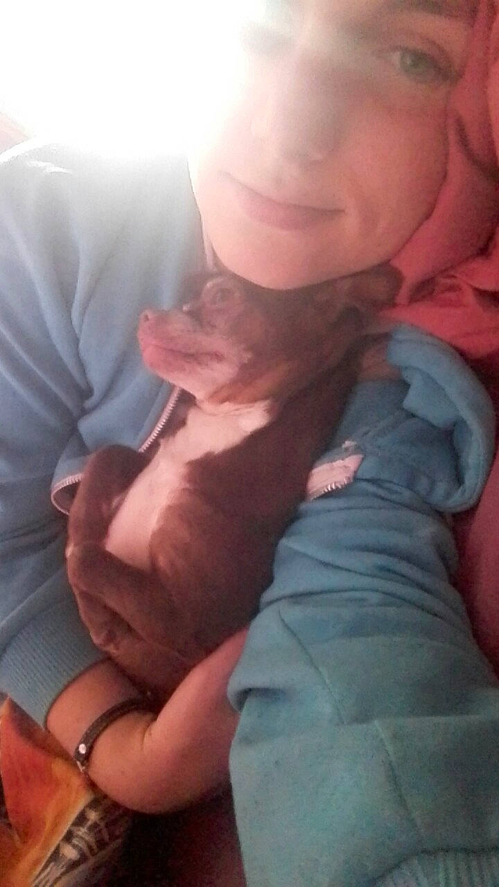 Hera participe au concours pour gagner de l'argent avec cette photo : baby, birth, canidae, carnivore, cat, child, fawn, hand, mouth, muscle, nose, sphynx