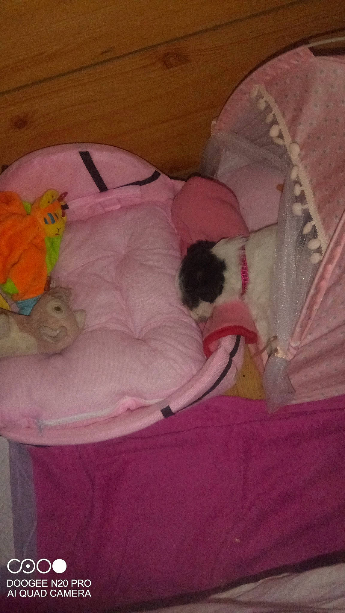 Choupie participe au concours pour gagner de l'argent avec cette photo : baby, baby_products, bed, bed_sheet, bedding, bedtime, comfort, companion_dog, cradle, fawn, infant_bed, linens, magenta, nap, pink, room, stuffed_toy, textile, toddler, toy