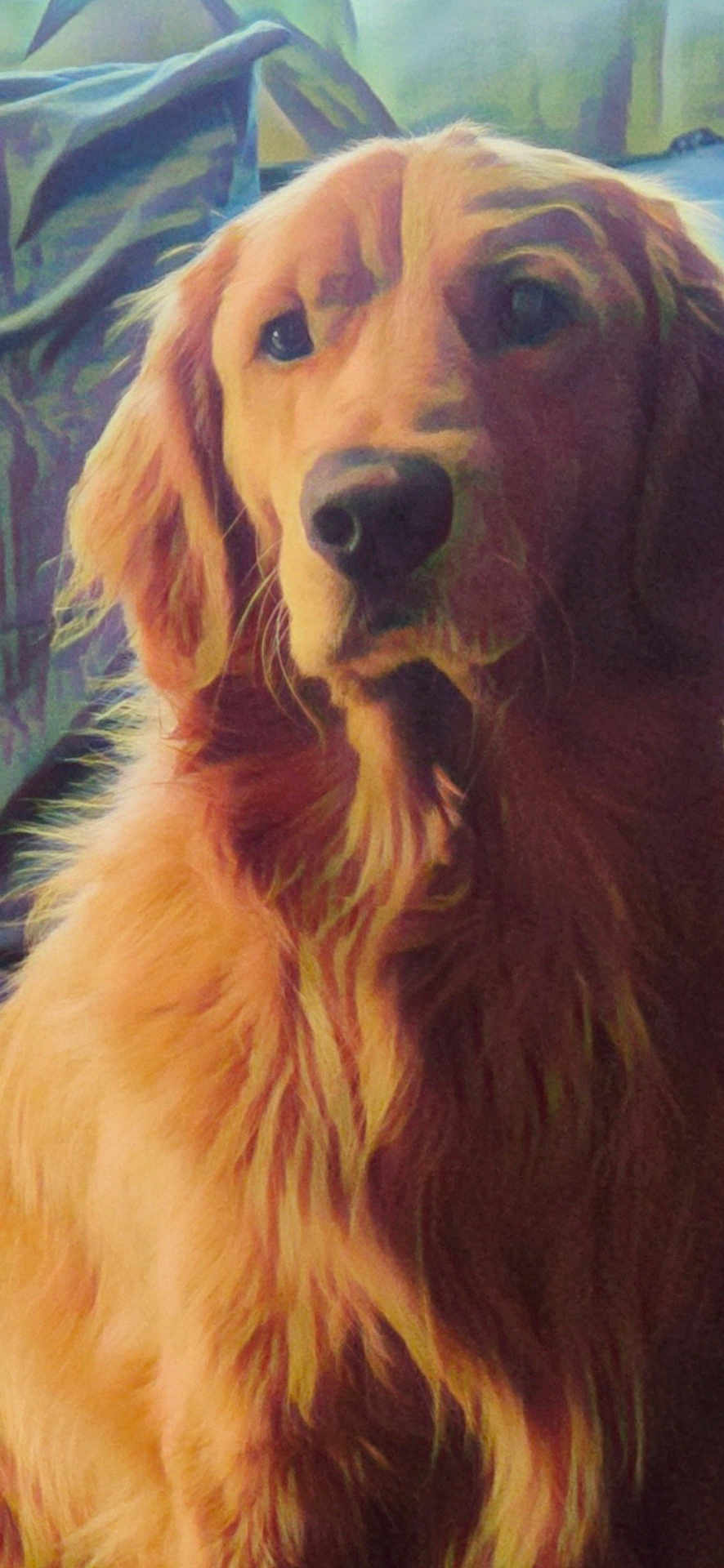 Ruger