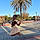 Taisha