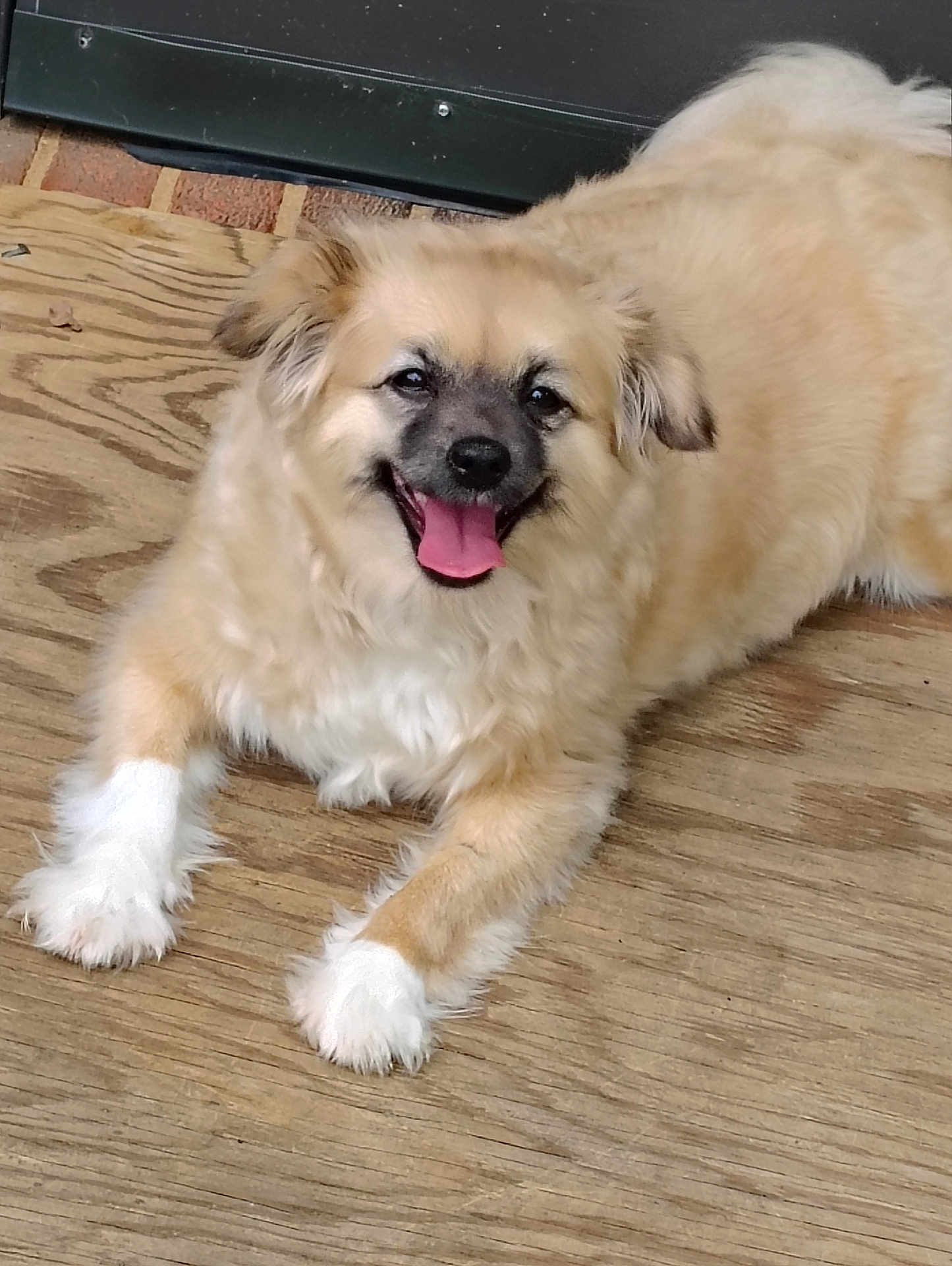 Tuffles