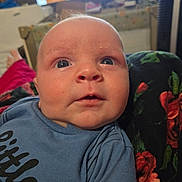 Wylder joined the competition — help win amazing prizes! baby, infant, newborn, face, eyes, wide_eyed, cheeks, nose, mouth, onesie, blue_shirt, close_up, portrait, indoor, television, blanket, floral_pattern, crib, skin, expression