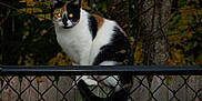 Ophillia is registered to the contest to win money with this photo: