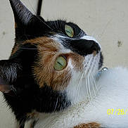 Ophillia is registered to the contest to win money with this photo: