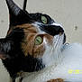 Ophillia is registered to the contest to win money with this photo: