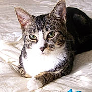 Angel is registered to the contest to win money with this photo: