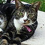 Angel is registered to the contest to win money with this photo: