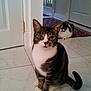 Angel is registered to the contest to win money with this photo: