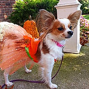 Paris is registered to the contest to win money with this photo: