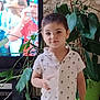 background, boy, child, cup, expression, face, furniture, hair, indoor, leaf, living_room, pattern, people, person, plant, screen, shirt, shorts, smile, television