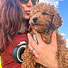 woman, dog, puppy, curly_hair, sunglasses, outdoor, sky, clouds, hand, holding, red_shirt, necklace, ring, sunlight, portrait, cute, pet, affection, calm, closeup