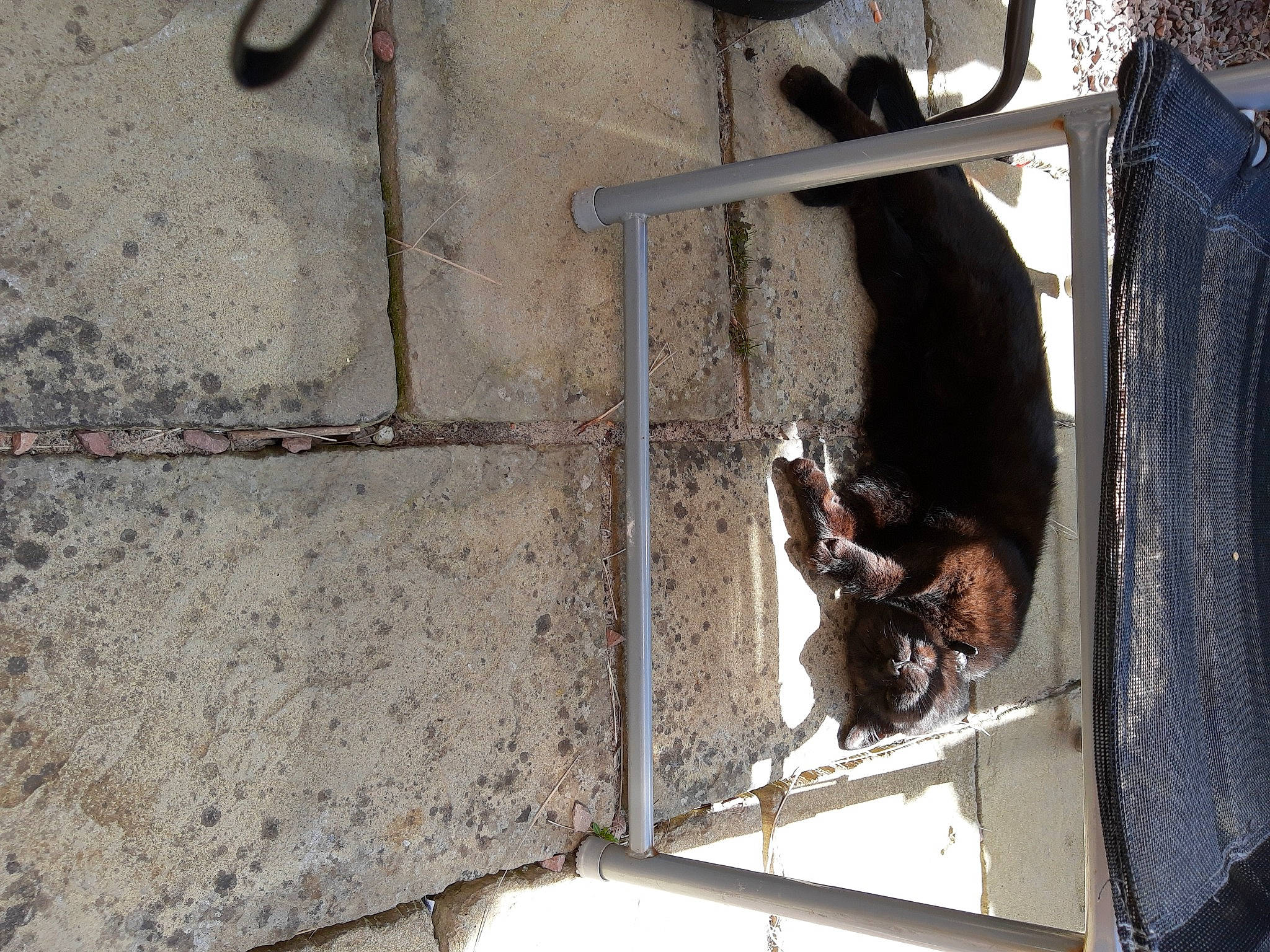 Scamp joined the competition — help win amazing prizes! cement, composite_material, concrete, door, facade, gas, metal, shadow, window, wood, working_animal