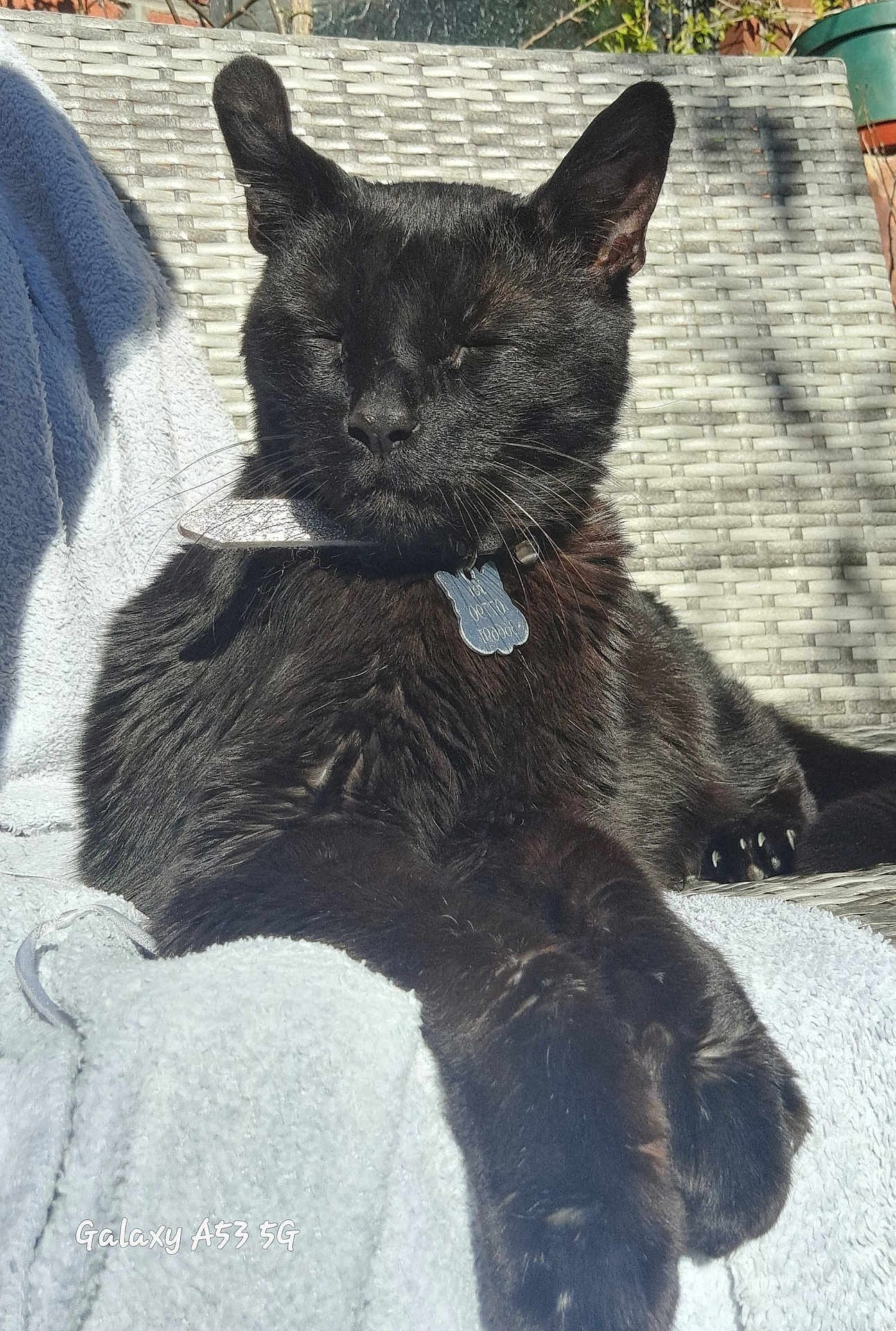 Jet