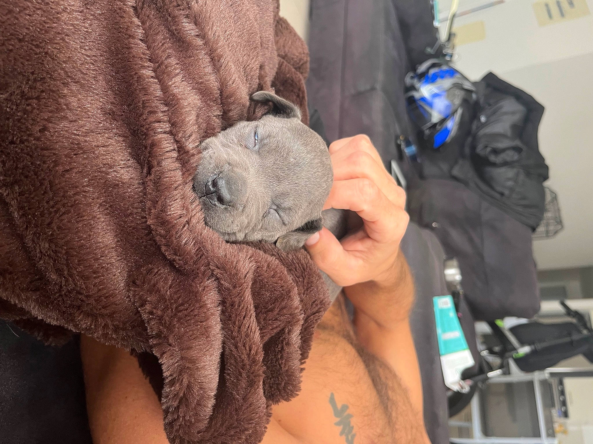 Cali participe au concours pour gagner de l'argent avec cette photo : abdomen, art, backpack, bag, barechested, chest, fashion_accessory, fur, jewellery, luggage_and_bags, nail, outerwear, personal_protective_equipment, plush, stuffed_toy, temporary_tattoo, trunk, wool, wrinkle, wrist