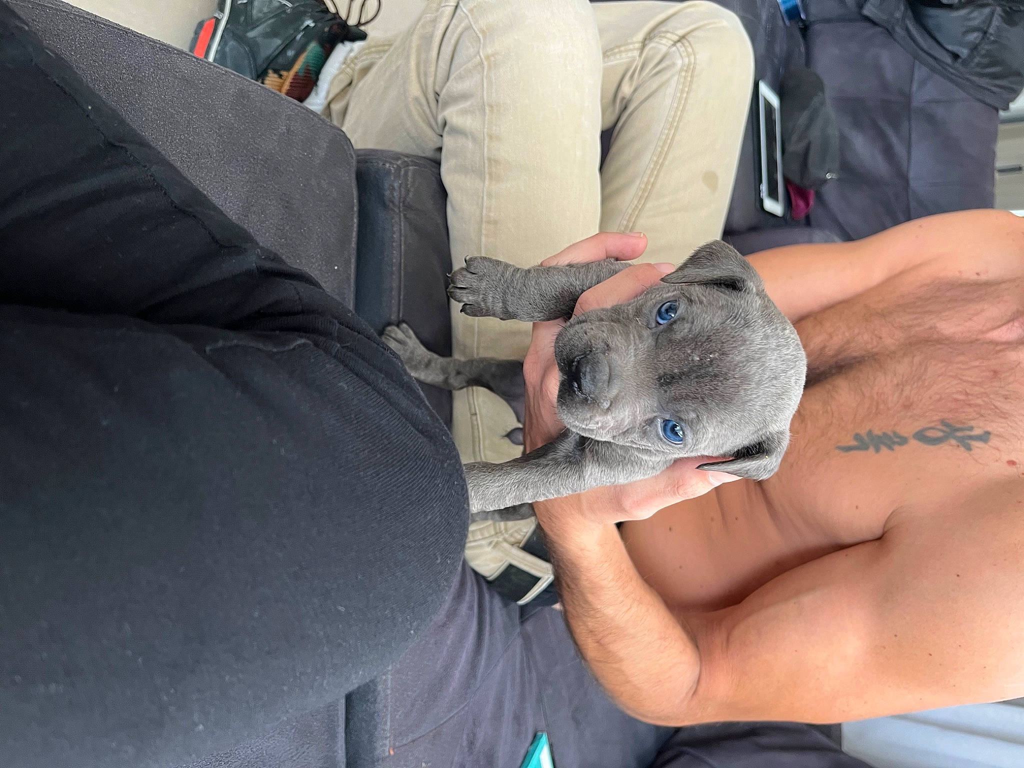 Cali participe au concours pour gagner de l'argent avec cette photo : automotive_tire, barechested, comfort, elbow, fish, flesh, fur, human_leg, nail, rock, shorts, sitting, t_shirt, temporary_tattoo, wildlife_biologist, wrist