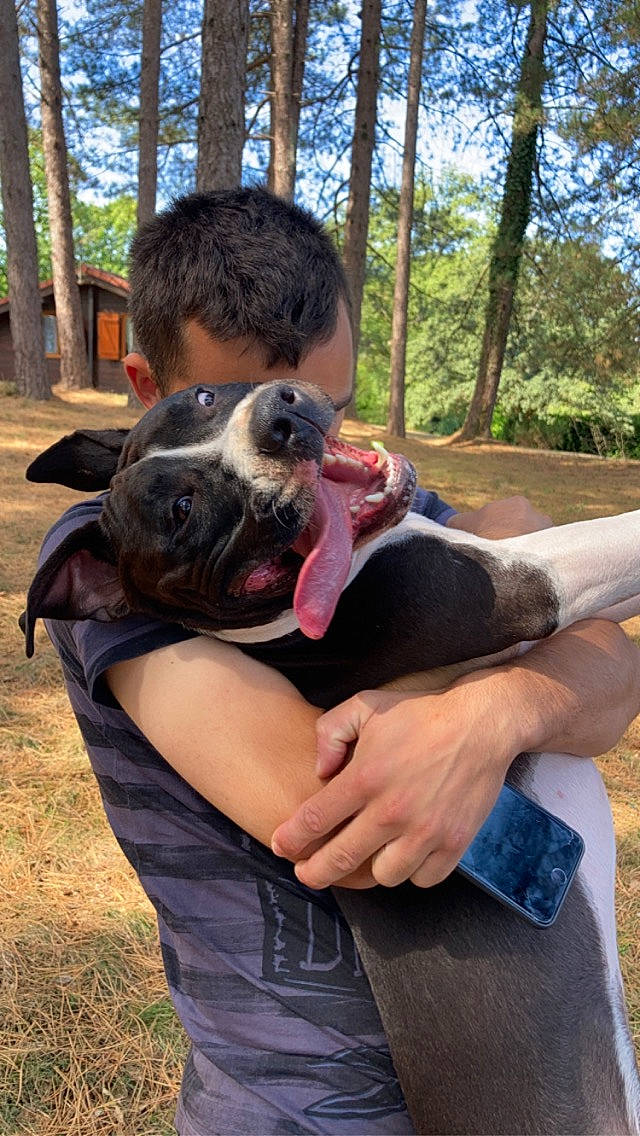 Tyron Et Shiva a rejoint le concours — aidez-le/la à gagner de superbes lots ! canidae, carnivore, companion_dog, dog, dog_breed, elbow, fawn, fur, gesture, grass, guard_dog, hug, leisure, plant, sky, sporting_group, t_shirt, thumb, tree, working_animal