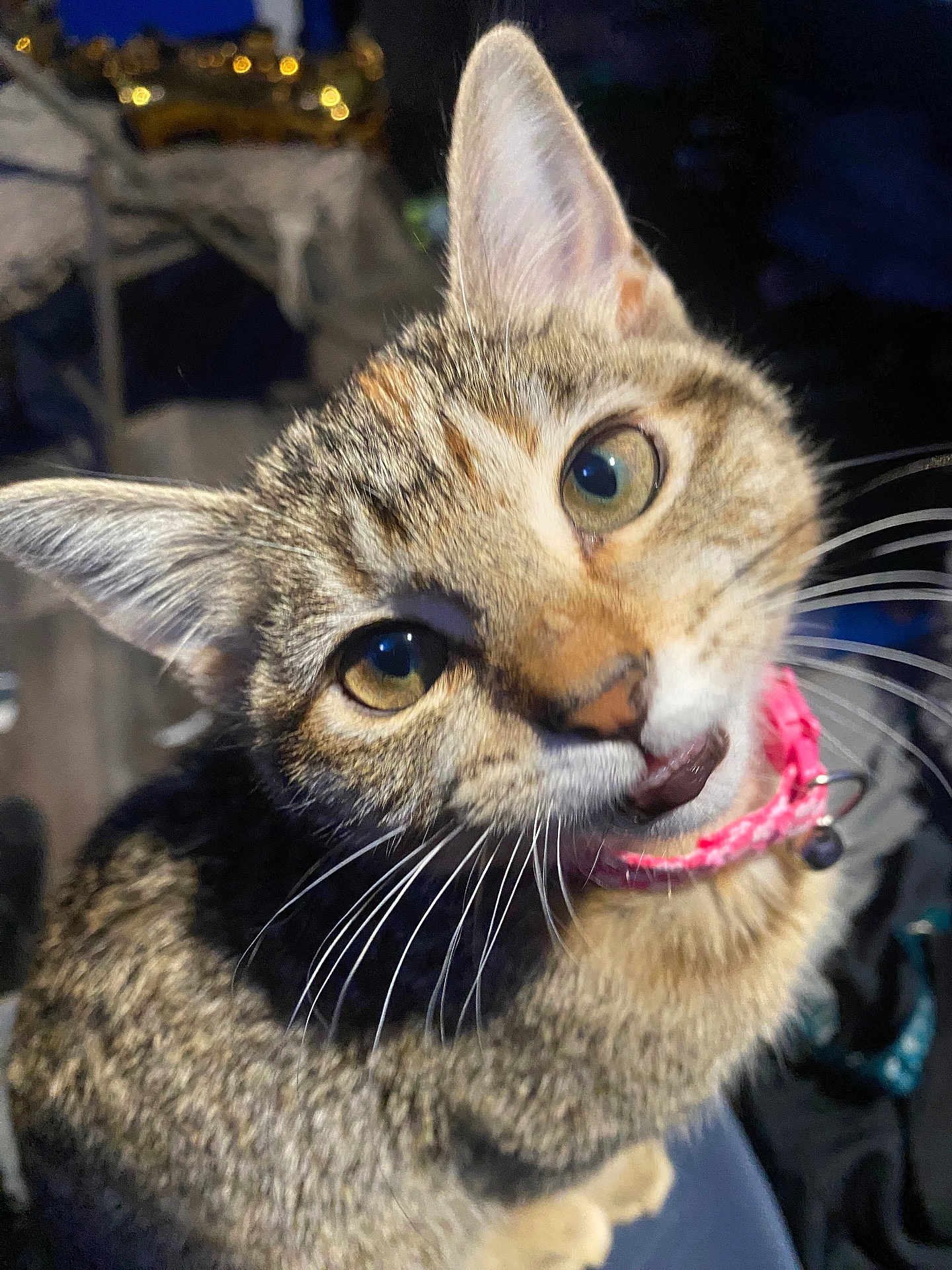 Kiki