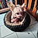 Tiago