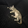 Indica is registered to the contest to win money with this photo: cat, sleeping, couch, indoor, pet, fur, relaxation, animal, cozy, resting, feline, home, comfort, paw, whiskers, tabby, cute, nap, soft, texture