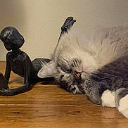 Azule Jasper is registered to the contest to win money with this photo: cat, sleeping, wooden_surface, sculpture, statue, indoor, cozy, relaxing, fluffy, gray_cat, white_paws, art, decor, quiet, peaceful, table, resting, feline, domestic_cat, closeup