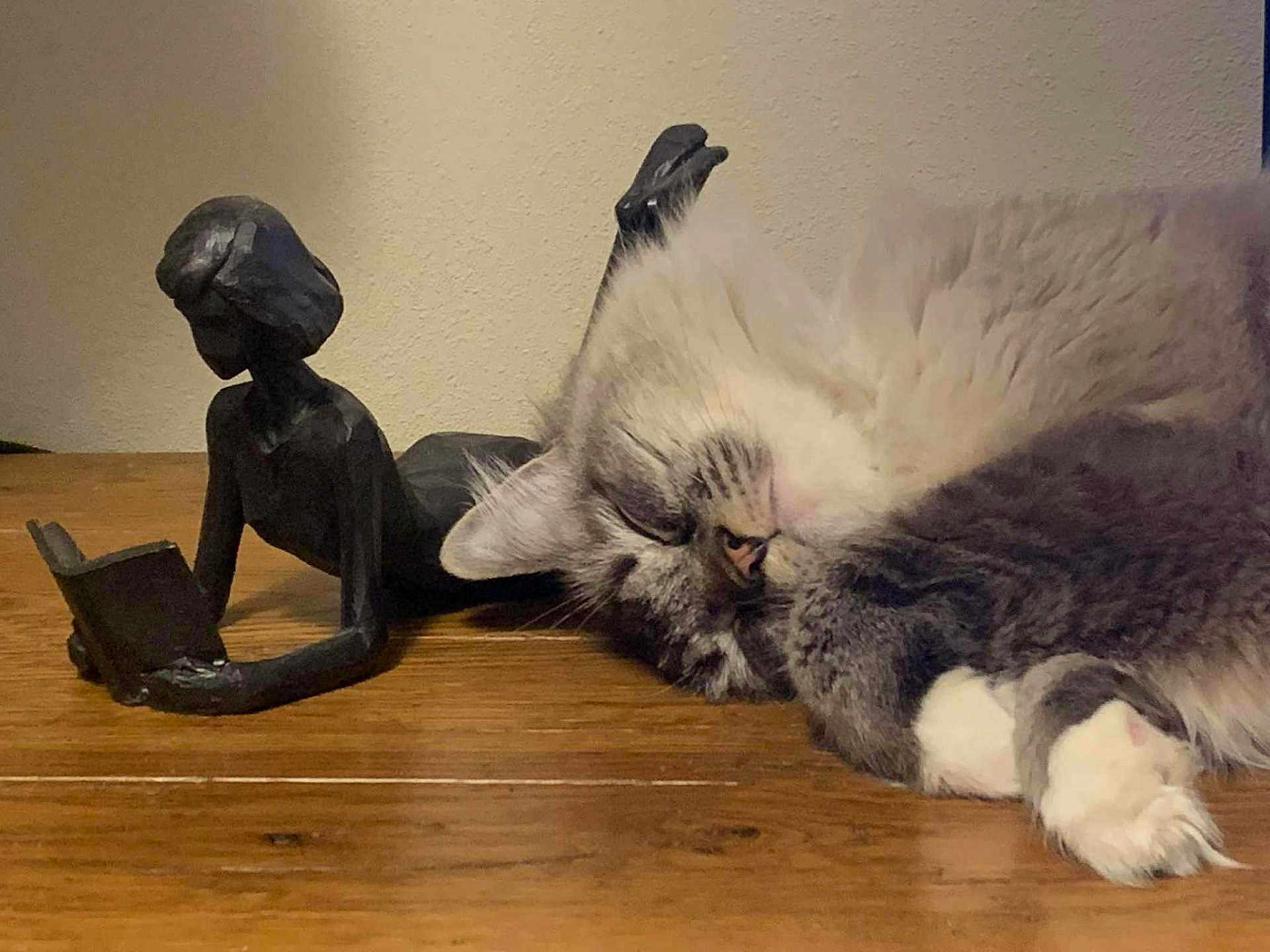 Azule Jasper is registered to the contest to win money with this photo: cat, sleeping, wooden_surface, sculpture, statue, indoor, cozy, relaxing, fluffy, gray_cat, white_paws, art, decor, quiet, peaceful, table, resting, feline, domestic_cat, closeup