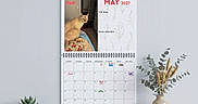 Flash joined the competition — help win amazing prizes! animal, calendar, cat, colorful, date, decoration, feline, indoor, may, month, pet, photo, plant, potted_plant, pumpkin, schedule, screenshot, text, wall, wooden_surface