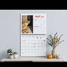 animal, calendar, cat, colorful, date, decoration, feline, indoor, may, month, pet, photo, plant, potted_plant, pumpkin, schedule, screenshot, text, wall, wooden_surface