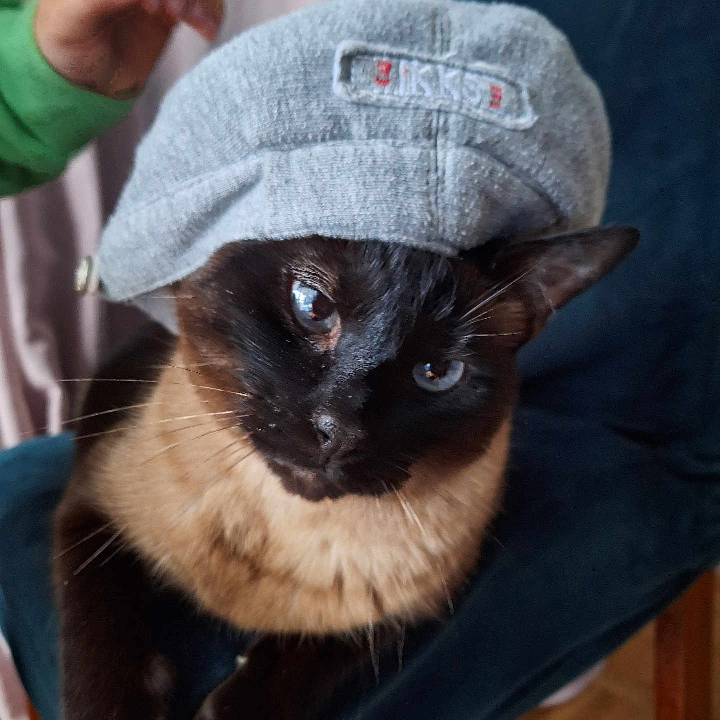 Jimini