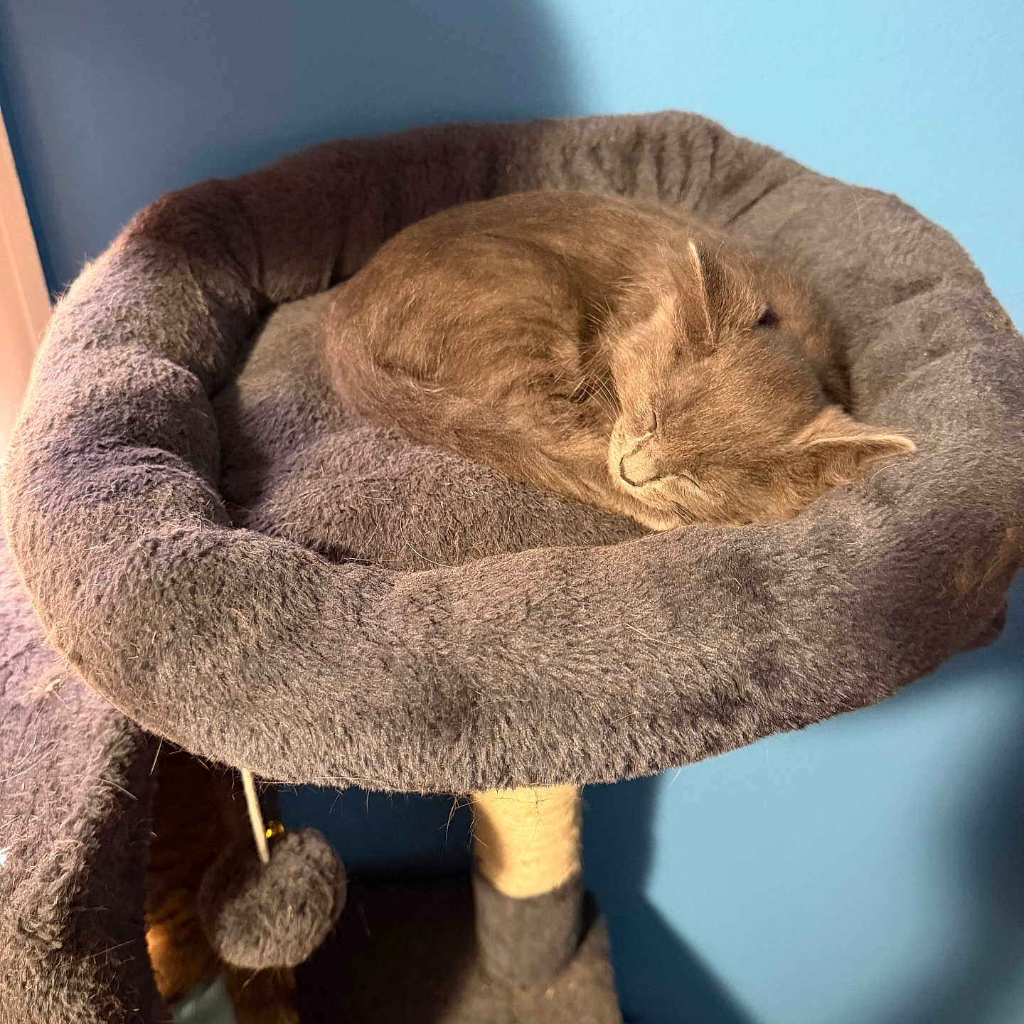 Luna