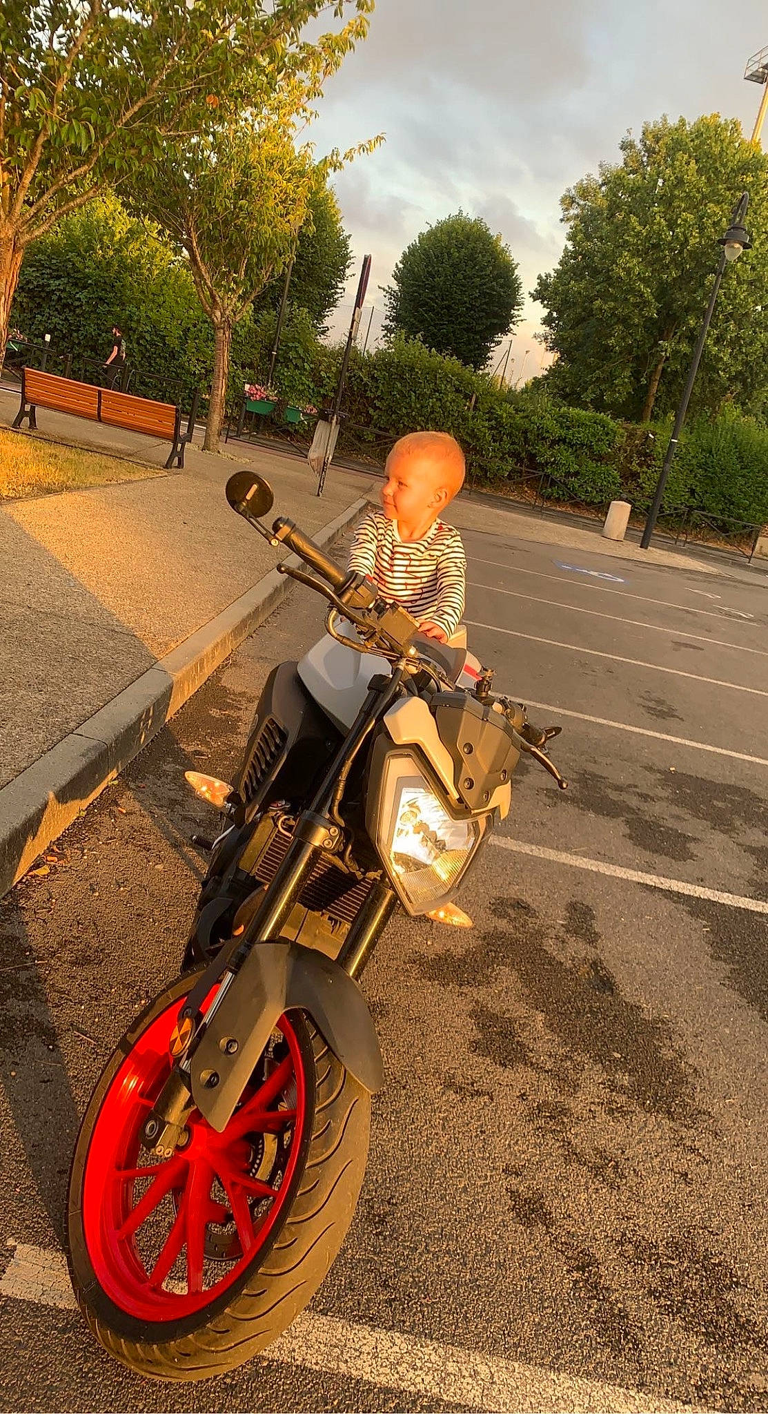 Tiago a rejoint le concours — aidez-le/la à gagner de superbes lots ! asphalt, automotive_design, automotive_lighting, automotive_tire, fender, helmet, mode_of_transport, motor_vehicle, motorcycle, motorcycling, person, plant, road_surface, rolling, sky, sunlight, tire, travel, tree, vehicle