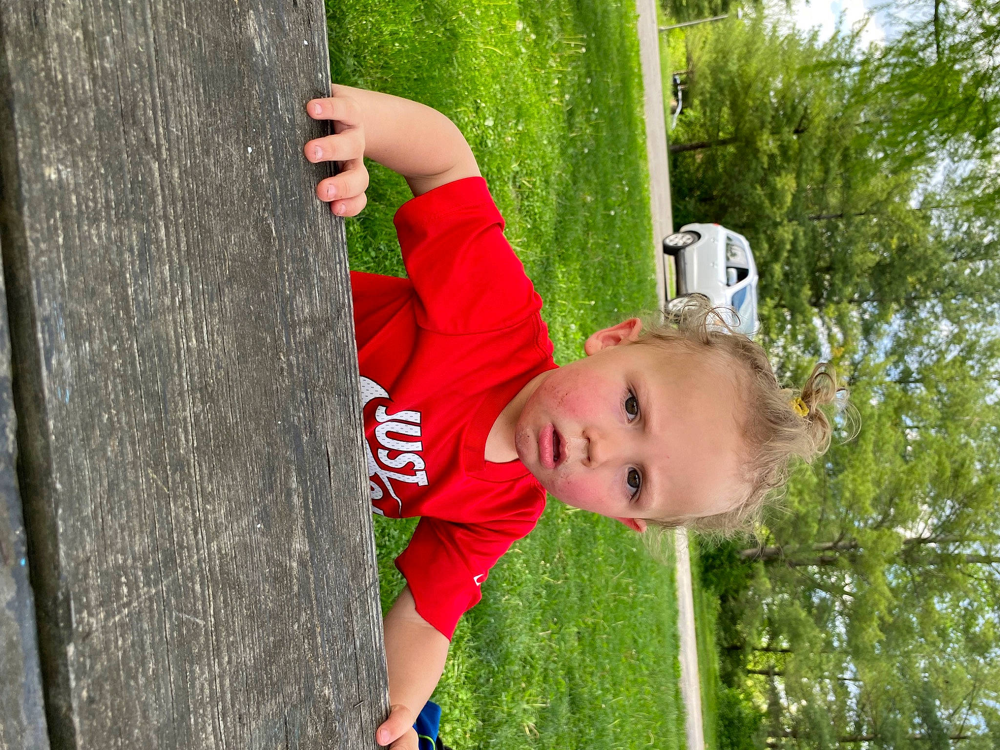 Braxton is registered to the contest to win money with this photo: baby, child, fun, grass, grass_family, green, happy, leisure, outdoor_play_equipment, people_in_nature, person, plant, play, recreation, toddler, tree, trunk, vacation, wood, woody_plant