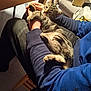 cat, tabby_cat, pet, animal, lap, person, hands, indoor, furniture, chair, couch, casual, relaxed, comfort, warm_lighting, blue_sweater, striped_fur, resting, cozy, domestic