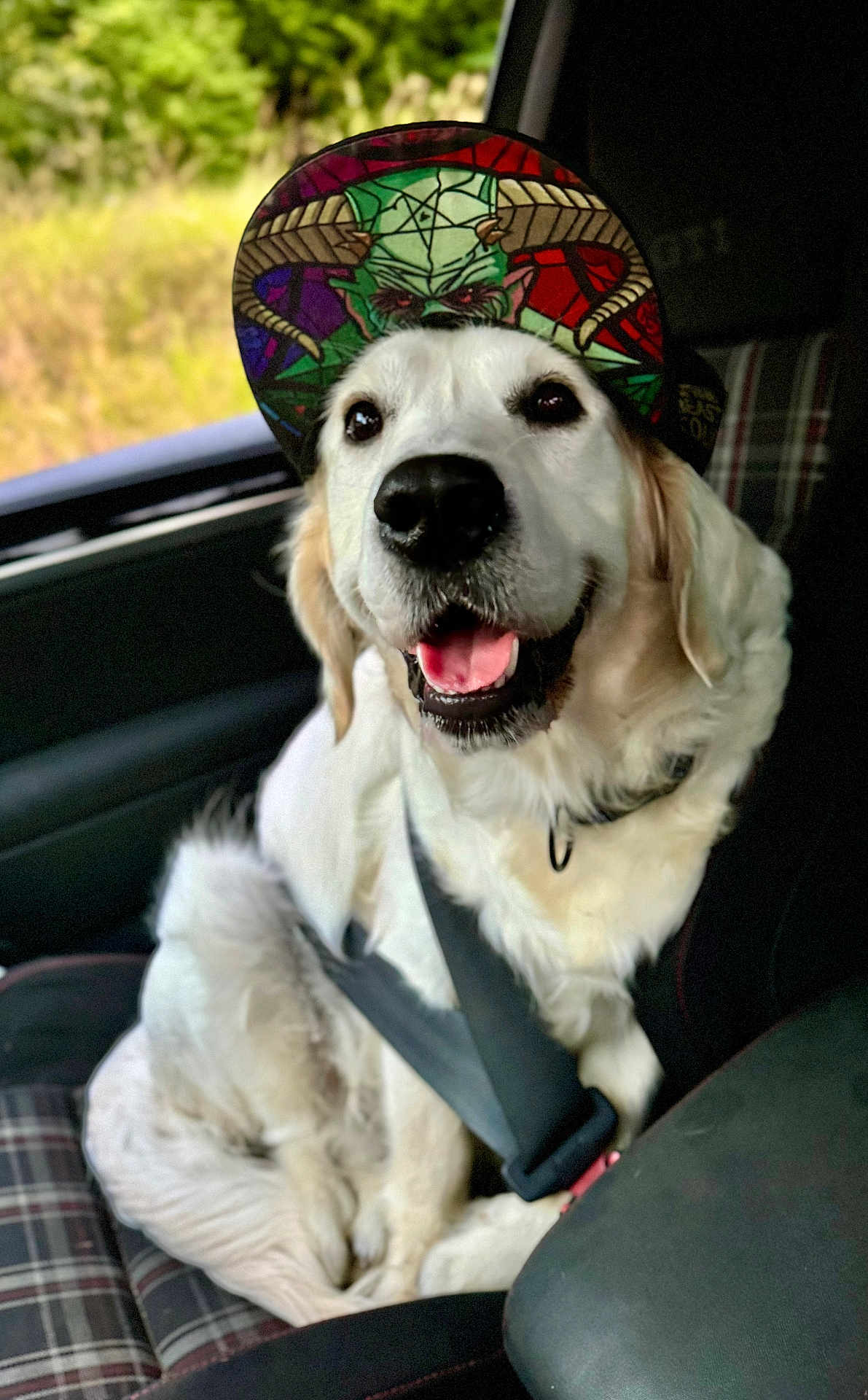 Ubu participe au concours pour gagner de l'argent avec cette photo : dog, golden_retriever, hat, cap, car, seatbelt, vehicle_interior, window, plaid_seat, happy, smiling, pet, canine, sitting, fur, ears, tongue, collar, daylight, outdoor_background