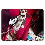 Prunel participe au concours pour gagner de l'argent avec cette photo : kitten, plush_toy, monkey_toy, couch, red_couch, stuffed_animal, toy, sleeping, indoor, pet, cat, feline, relaxing, home, comfort, playful, furniture, colorful, soft_toy, resting