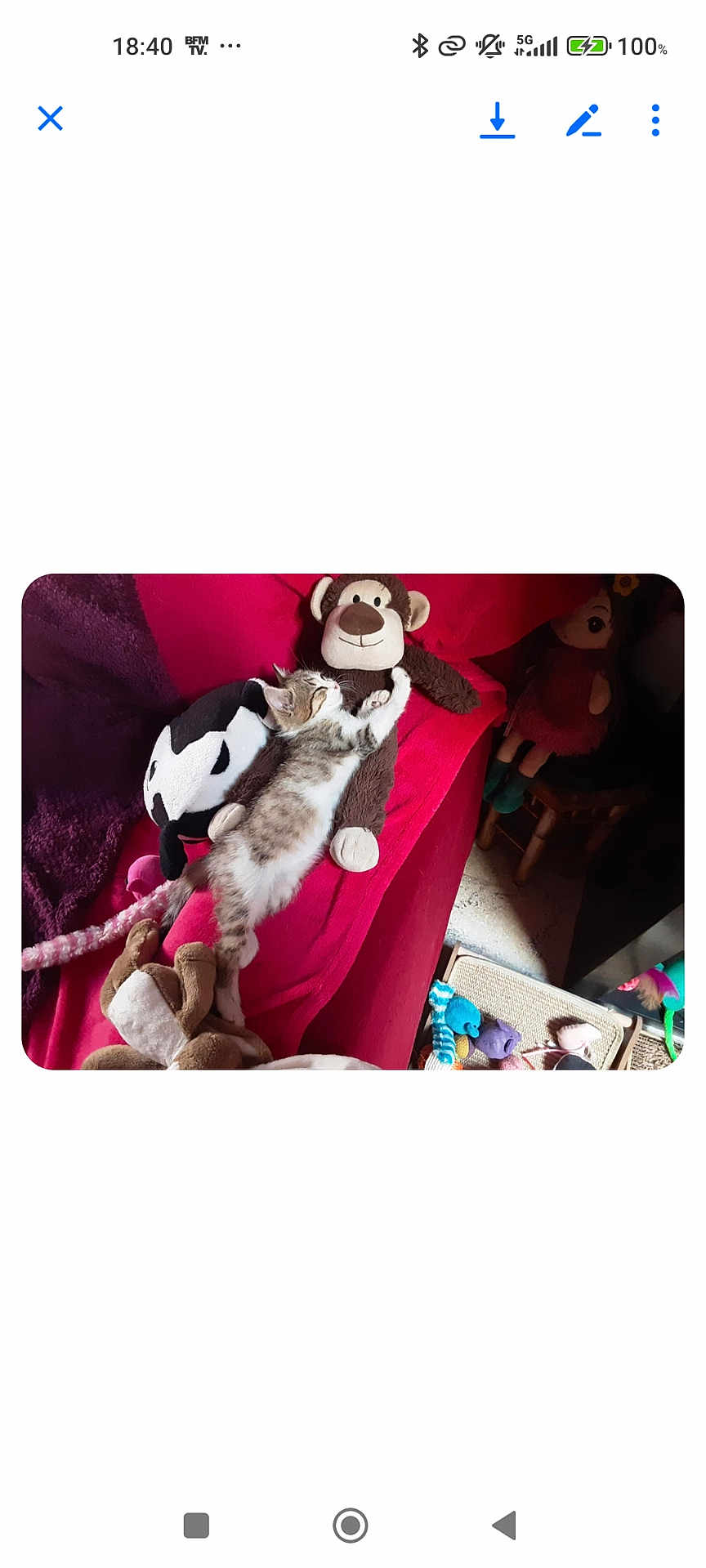 Prunel participe au concours pour gagner de l'argent avec cette photo : kitten, plush_toy, monkey_toy, couch, red_couch, stuffed_animal, toy, sleeping, indoor, pet, cat, feline, relaxing, home, comfort, playful, furniture, colorful, soft_toy, resting