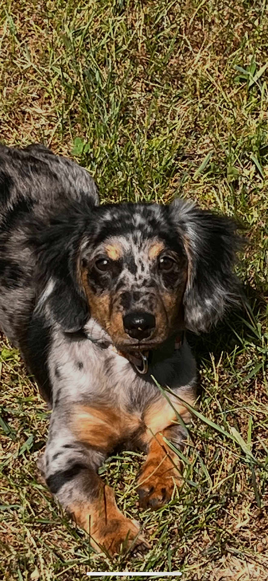 Cooper