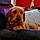 Samy
