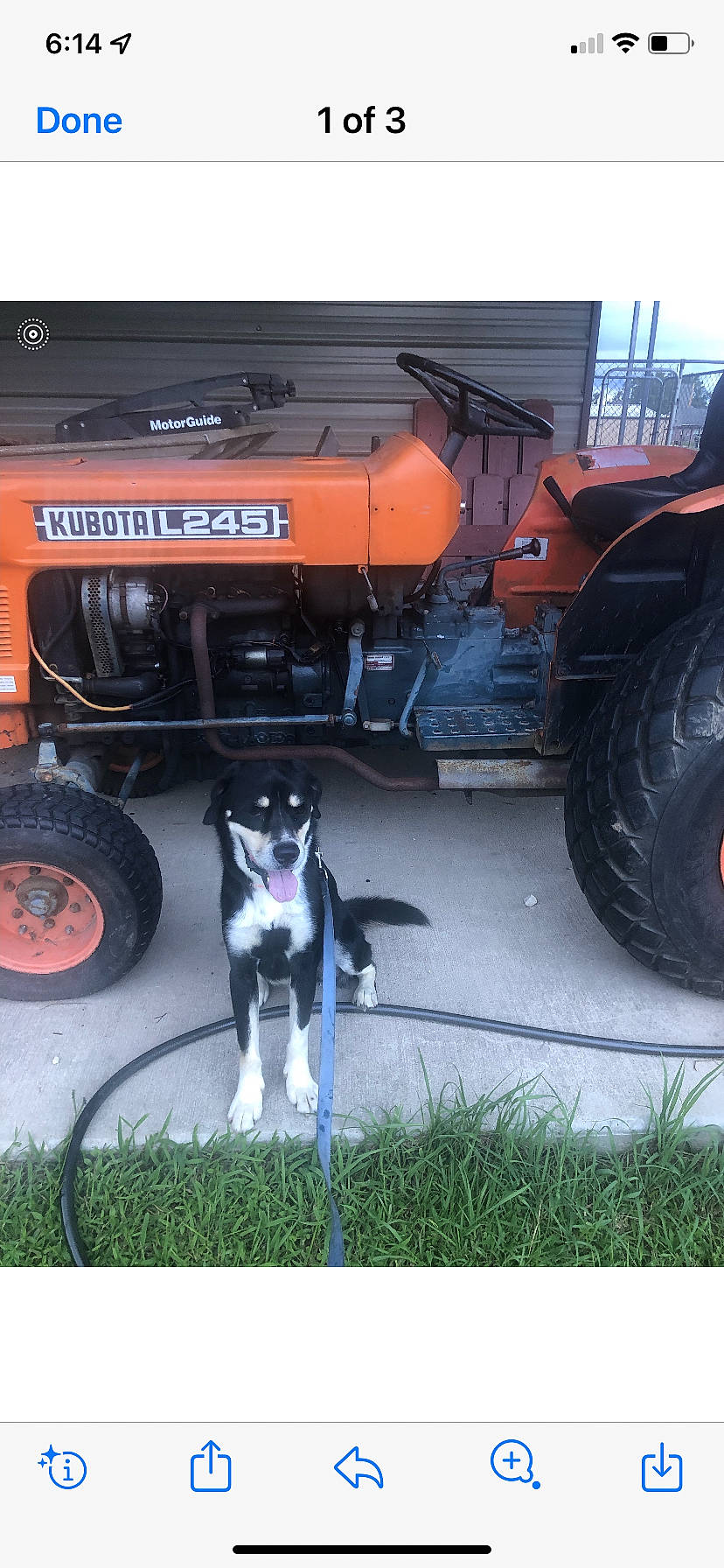 Buddy joined the competition — help win amazing prizes! auto_part, automotive_design, automotive_exterior, automotive_tire, automotive_wheel_system, bumper, carnivore, dog, dog_breed, fender, gas, motor_vehicle, plant, rolling, synthetic_rubber, tire, tractor, tread, vehicle, wheel