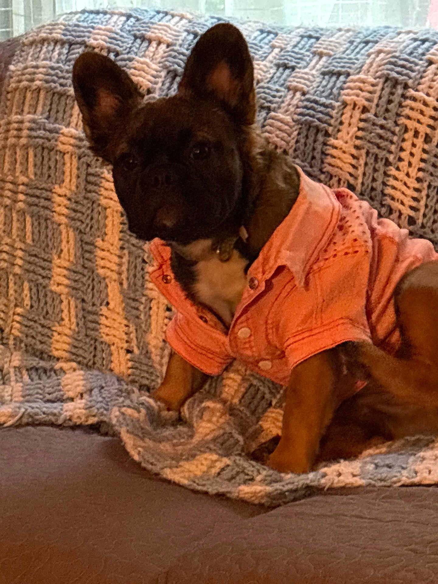 Callie Mae