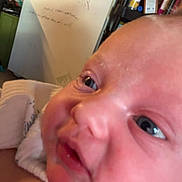 Tucker joined the competition — help win amazing prizes! baby, blurred_background, box, can, close_up, clothing, curious, face, food, fridge, head, human, indoor, infant, newborn, pantry, person, shelf, skin, soft_light