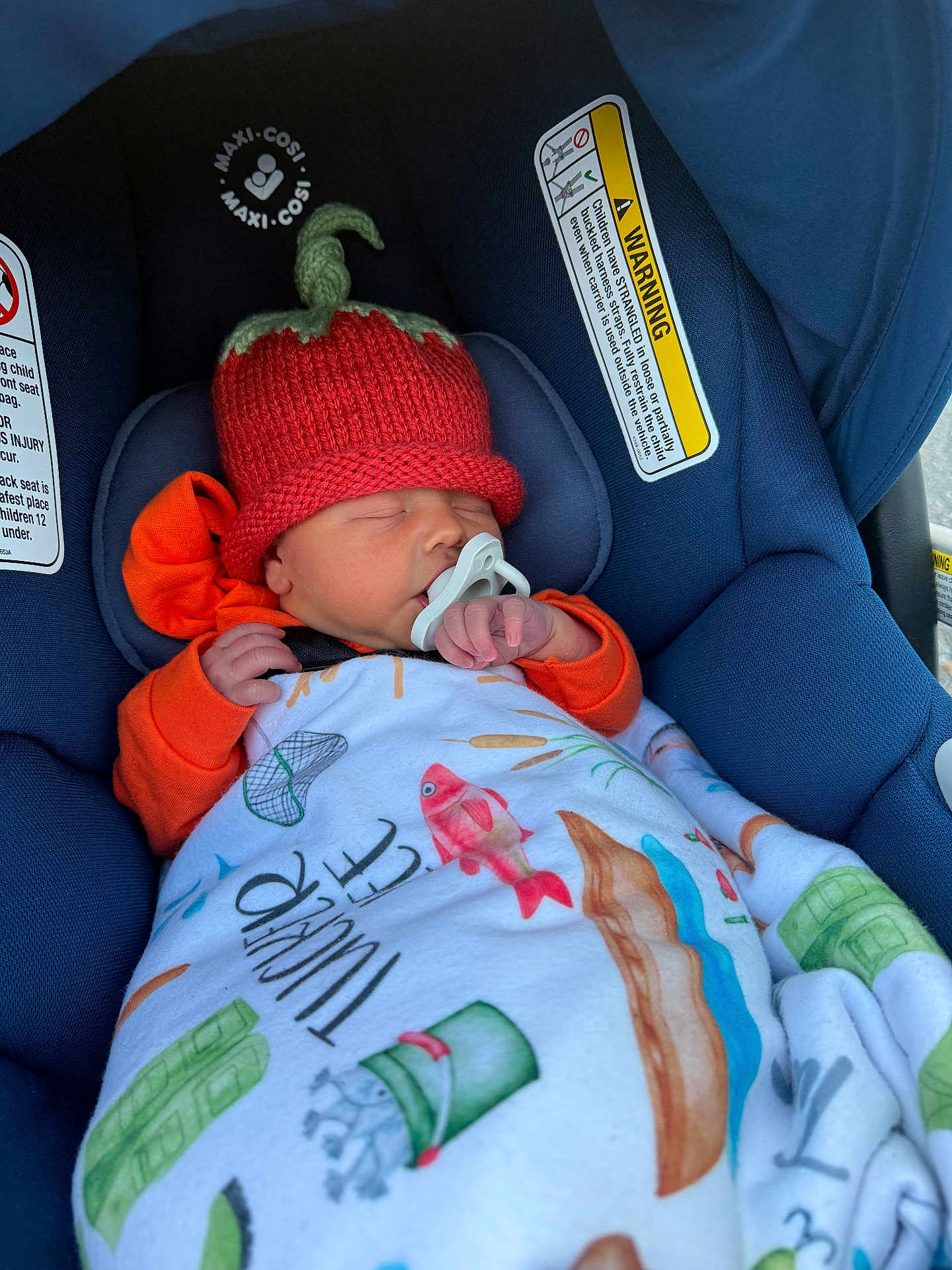 Tucker is registered to the contest to win money with this photo: newborn, baby, car_seat, blanket, knitted_hat, pacifier, sleeping, orange_clothing, blue_car_seat, infant, cozy, cute, child, face, headwear, indoor, resting, baby_accessory, child_seat, closeup