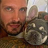 animal, bed, bond, close-up, companion, cute, dog, expression, face, french_bulldog, fur, human, indoor, looking_at_camera, man, pet, portrait, resting, skin, tattoo