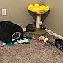 Smartie Marty is registered to the contest to win money with this photo: cat, tabby_cat, cat_tree, cat_toys, carpet, pet_bed, food_bowl, wall_outlet, corner, indoor, sleeping_cat, plush_toys, scratching_post, yellow, black, gray, purple, pink, green, home