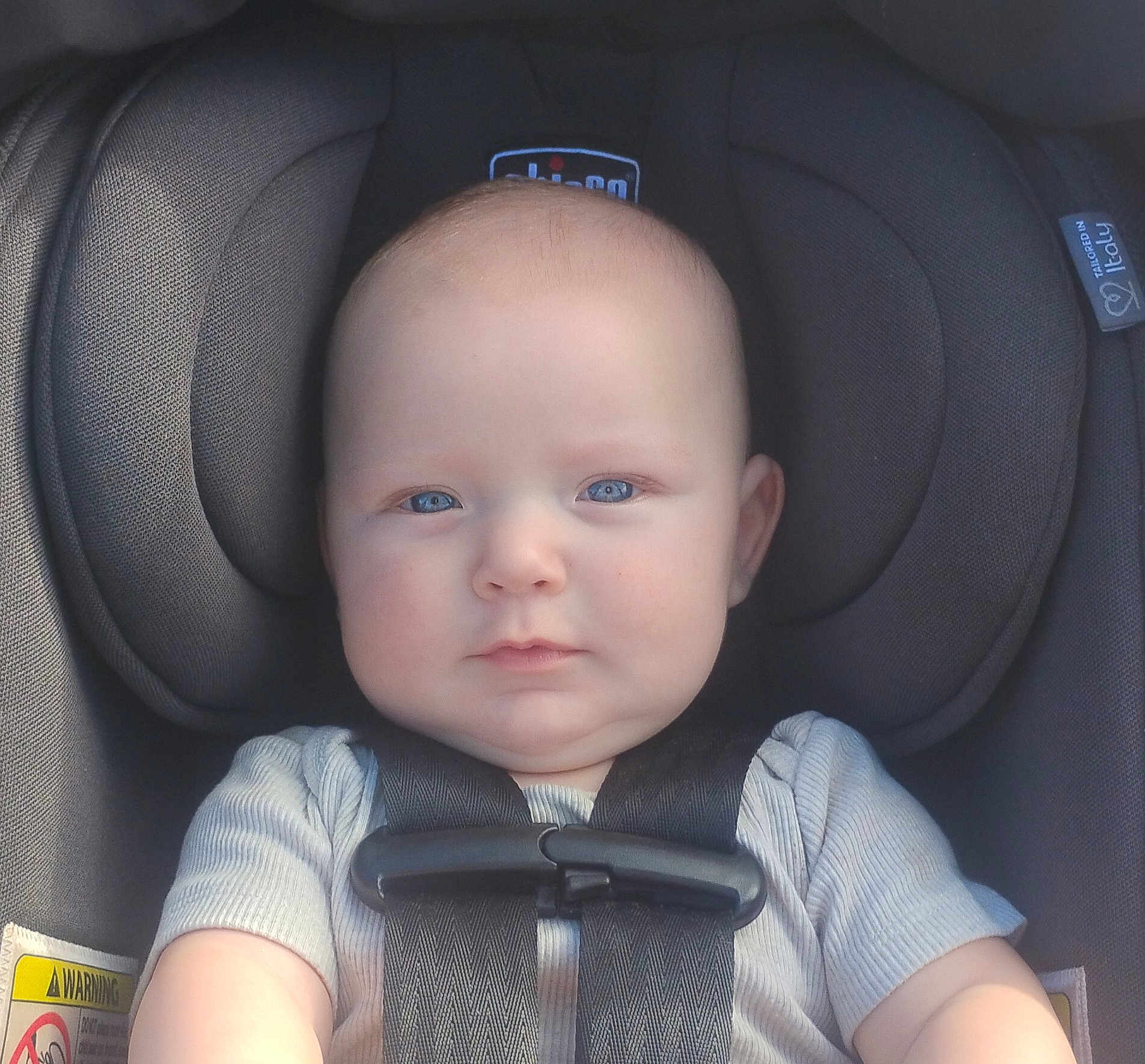 Kenneth is registered to the contest to win money with this photo: baby, child, car_seat, blue_eyes, face, infant, seatbelt, safety_harness, clothing, cute, portrait, young_child, head, skin, person, young, indoors, seat, straps, expression