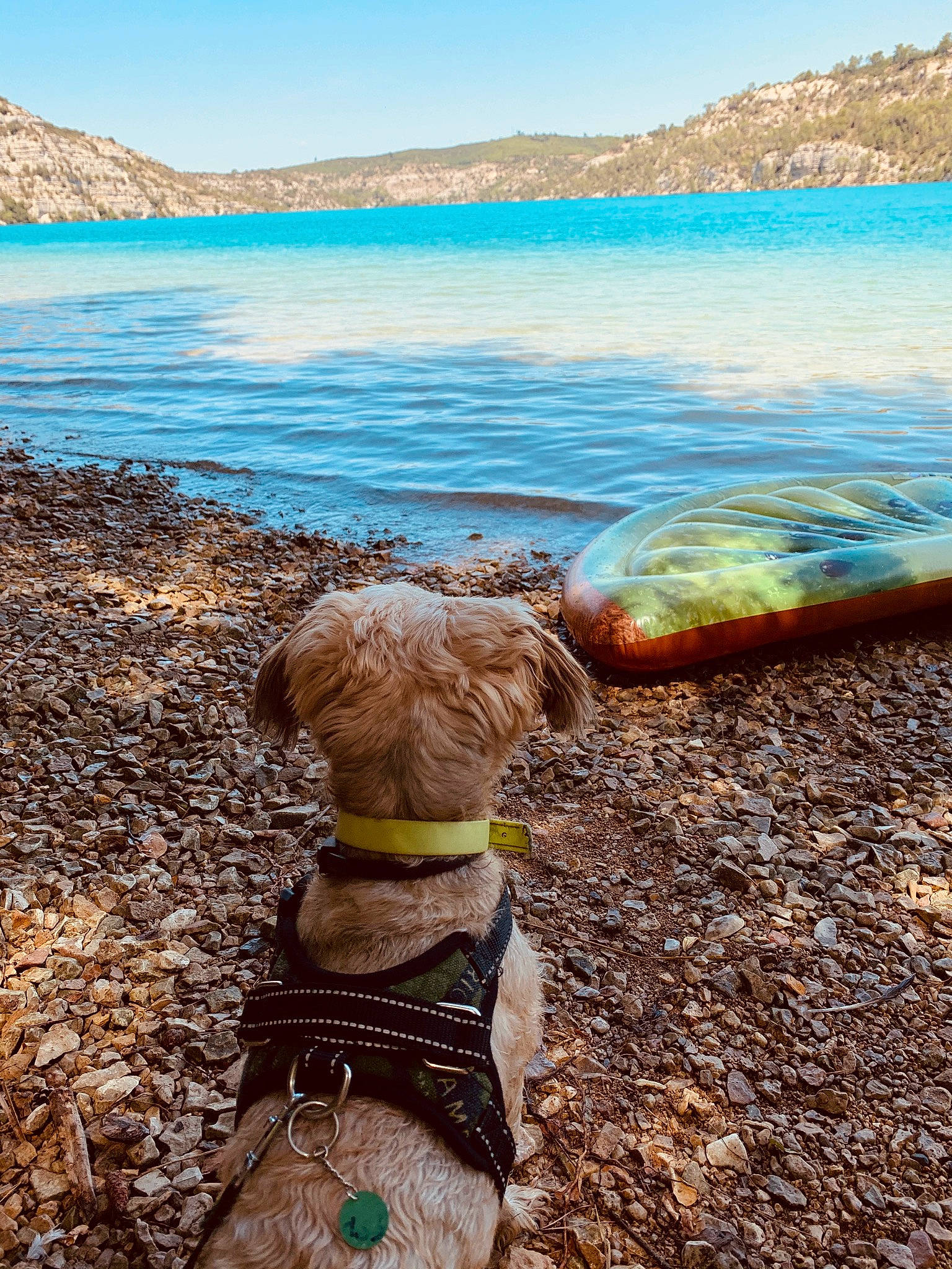Oby a rejoint le concours — aidez-le/la à gagner de superbes lots ! adventure, bay, beach, blue, cloud, coast, fawn, lake, landscape, mountain, ocean, rock, sea, shore, sky, summer, tree, vacation, water, wood